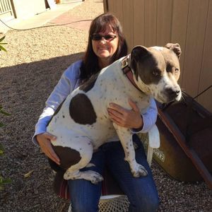 Meet your Posher, Samantha